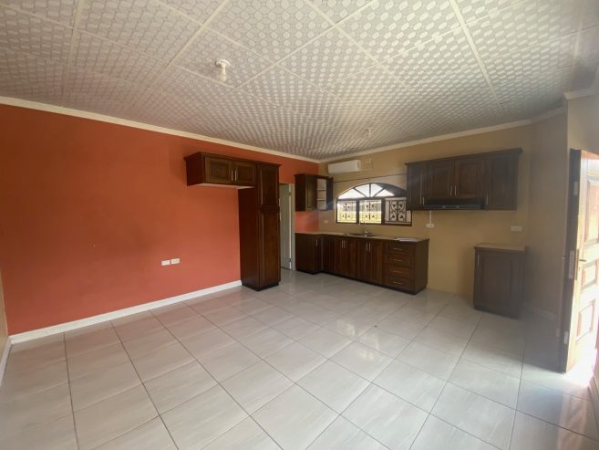 Modern Boundary Road Ext 1 Bedroom Apt for Rent