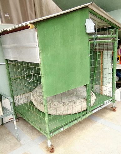 Dog Kennel with large bed