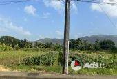 ARANGUEZ LAND – FOR SALE