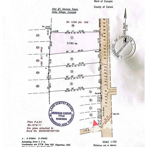 ST HELENA FREEHOLD LOT