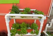 HYDROPONIC UNITS