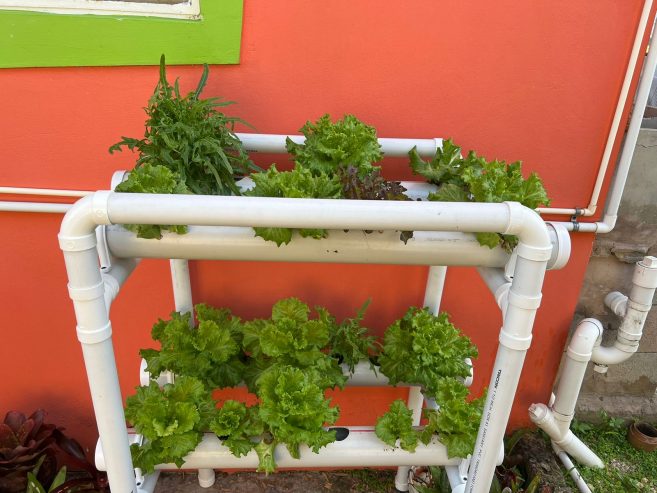 HYDROPONIC UNITS