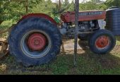 Wheel tractor brush cutting for hire