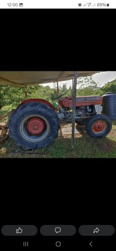 Wheel tractor brush cutting for hire