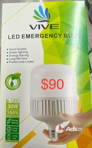 Emergency light bulb