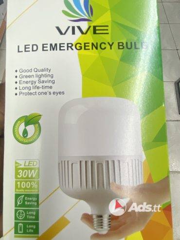 Emergency light bulb