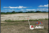 FREEPORT LOTS