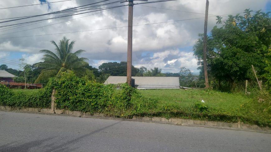 8454 Sq Feet freehold land for sale