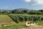 ARANGUEZ LAND – FOR SALE