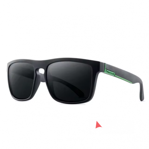 Black Polarized Sunglasses (Solid Frame)