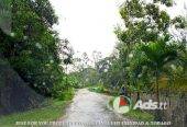 Land for Sale in Trinidad