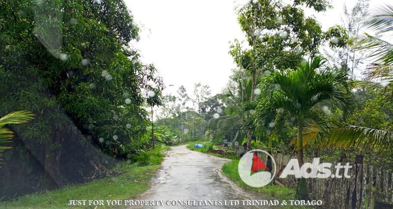 Land for Sale in Trinidad