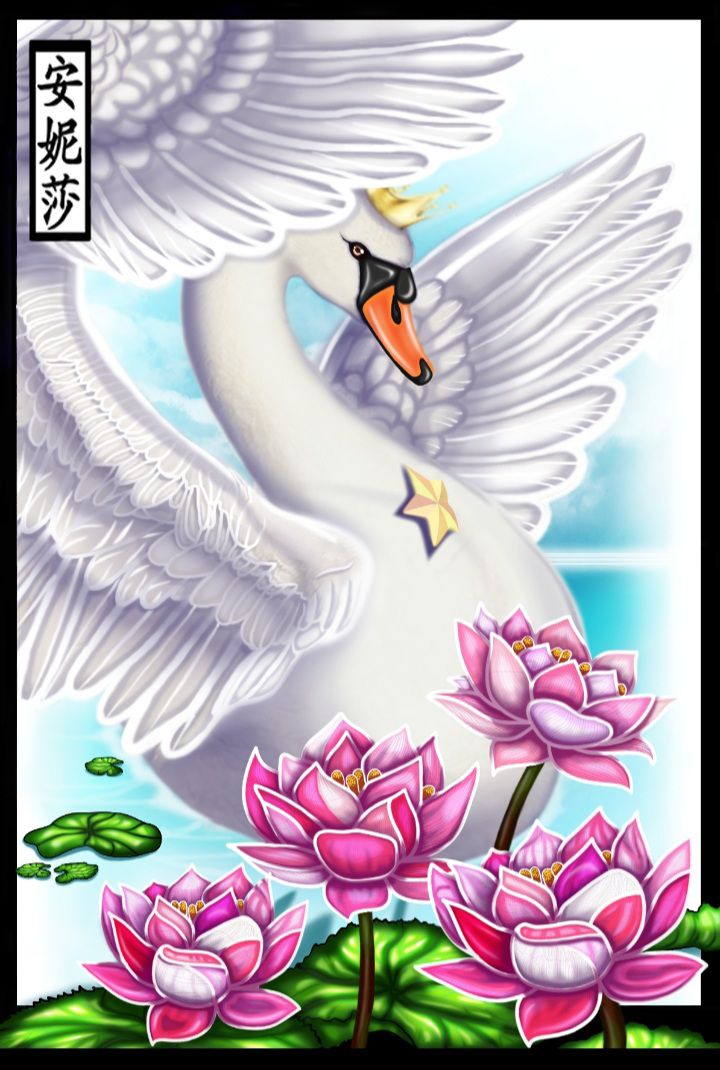 Illustration Services for Hire