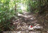 Land for Sale in Trinidad