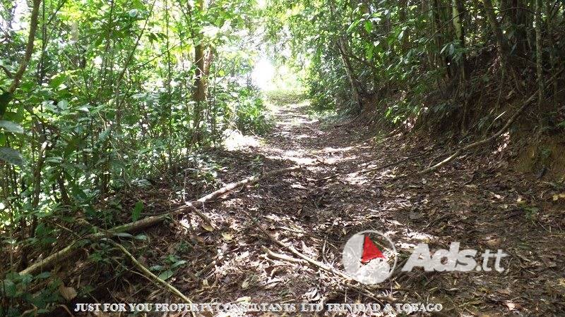 Land for Sale in Trinidad