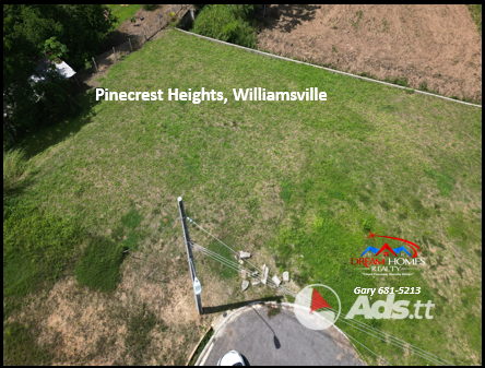 WILLIAMSVILLE LAND