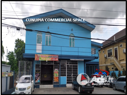 CUNUPIA COMMERCIAL SPACE