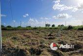 CHAGUANAS FULLY APPROVED LAND