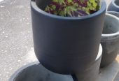 Plant pots 2 for 100