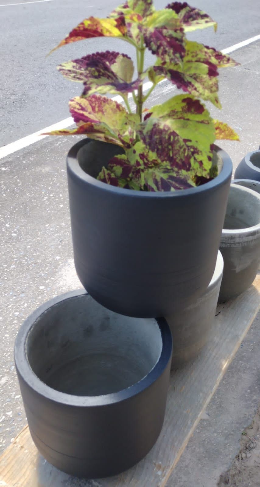 Plant pots 2 for 100