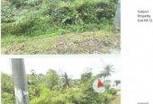 Residential Land (3 lots)
