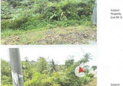 Lots-1-and-2-Sangre-Grande