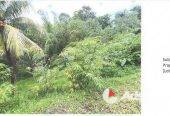 Residential Land (3 lots)