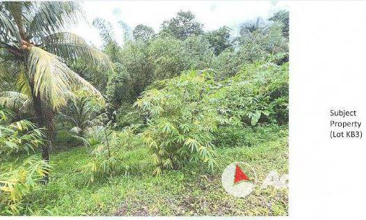 Residential Land (3 lots)