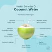 Coconuts