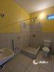 Apartments for rent in D’Abadie