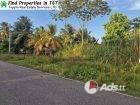 🌿 Prime Residential Land for Sale in Arima – Over 20,000 sq. ft. | $1M Negotiable!