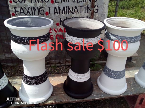 Plant pots $100