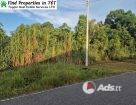 🌿 Prime Residential Land for Sale in Arima – Over 20,000 sq. ft. | $1M Negotiable!