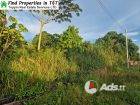 🌿 Prime Residential Land for Sale in Arima – Over 20,000 sq. ft. | $1M Negotiable!