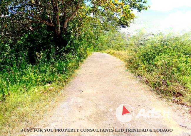 Land for Sale with Fixer Upper