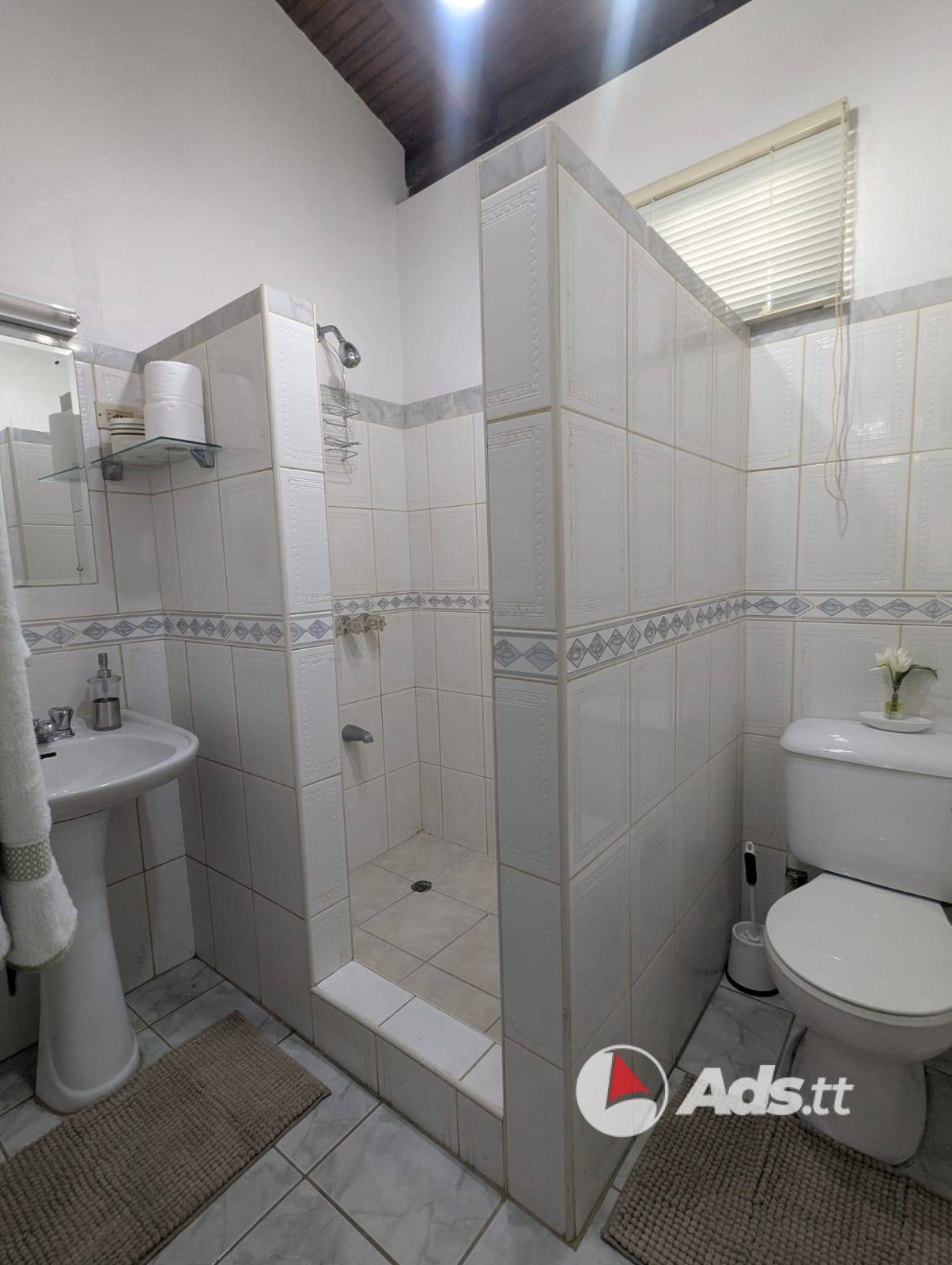 House to rent for Carnival