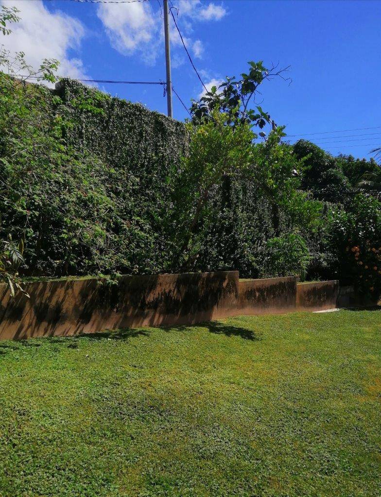 Annex apartment for rent in St. Ann’s
