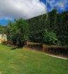 Annex apartment for rent in St. Ann’s