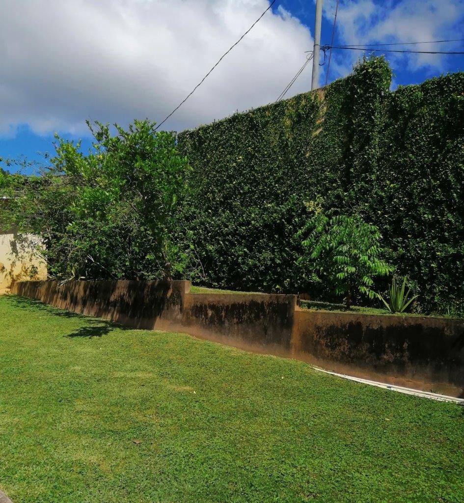 Annex apartment for rent in St. Ann’s