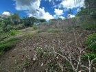1/2 Acre of Land in Gran Couva for Sale