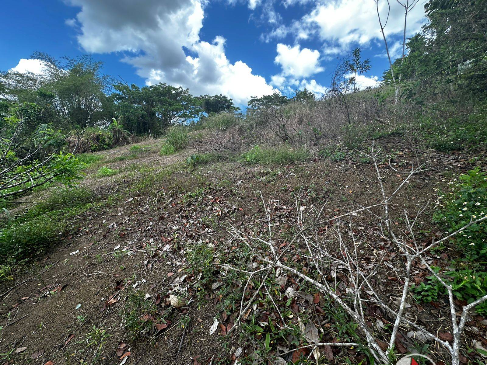 1/2 Acre of Land in Gran Couva for Sale