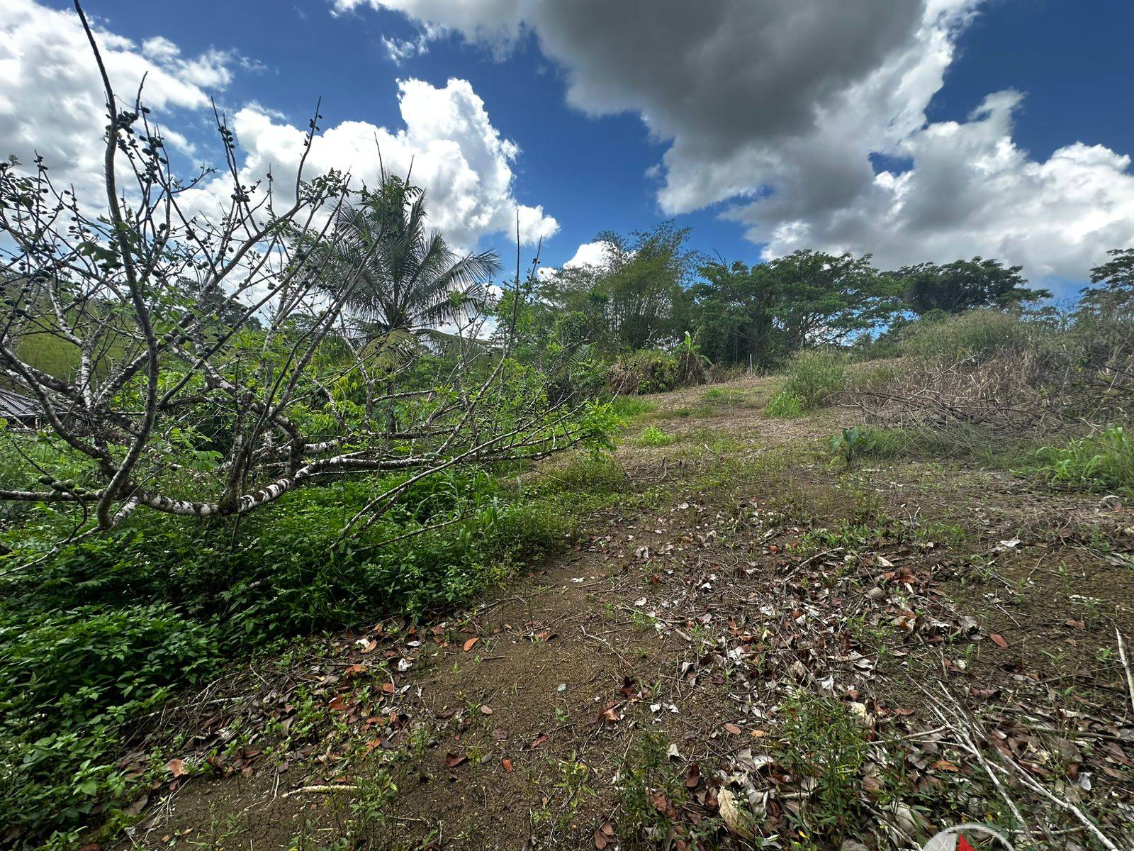 1/2 Acre of Land in Gran Couva for Sale