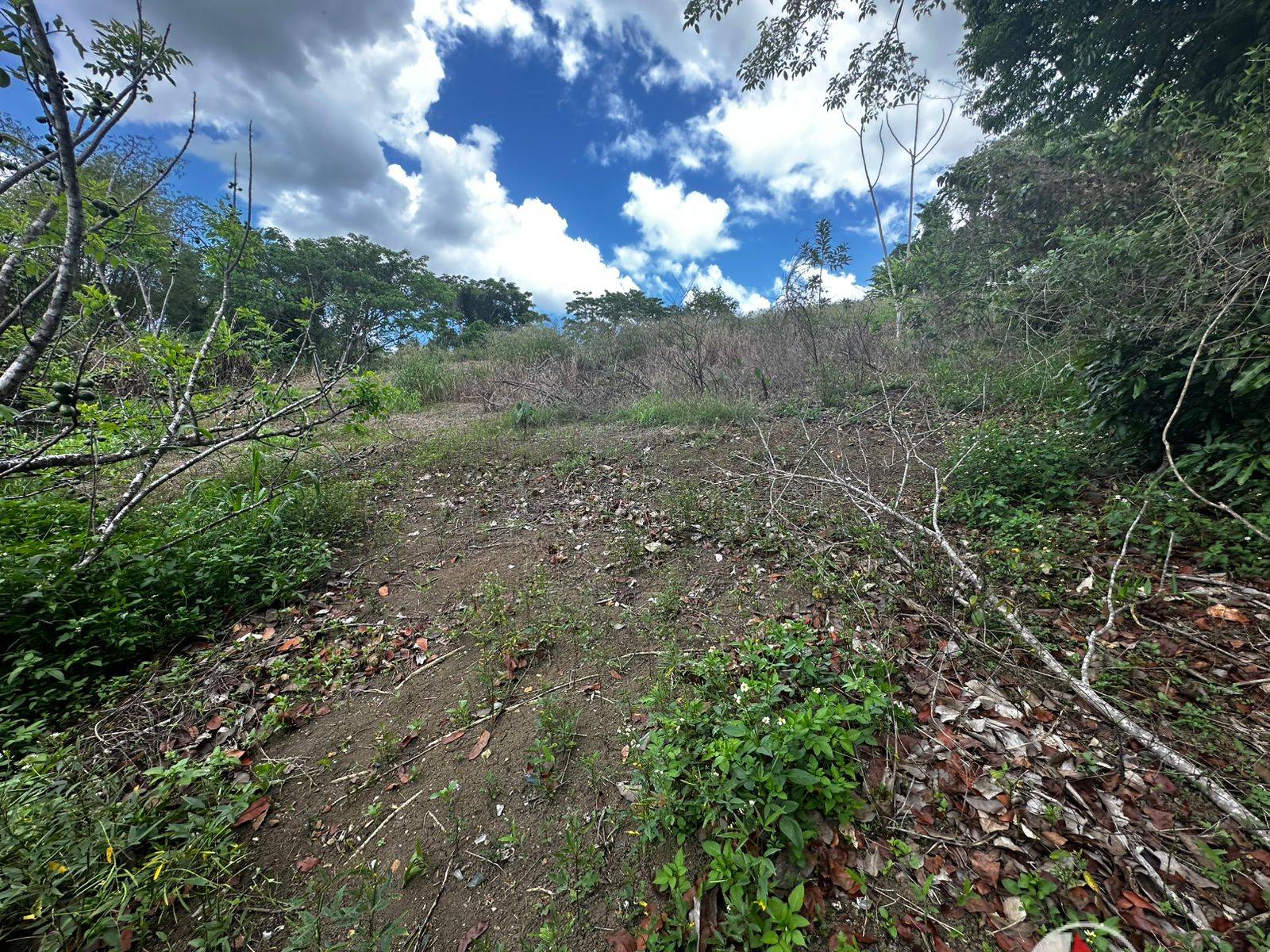 1/2 Acre of Land in Gran Couva for Sale
