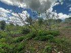 1/2 Acre of Land in Gran Couva for Sale