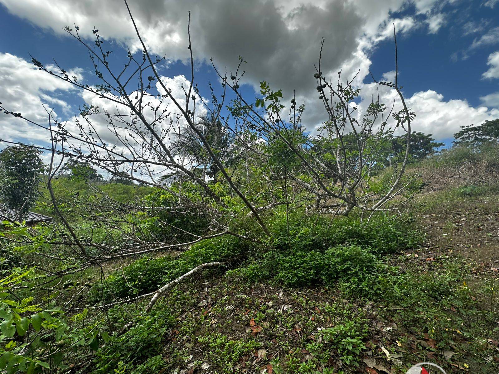1/2 Acre of Land in Gran Couva for Sale