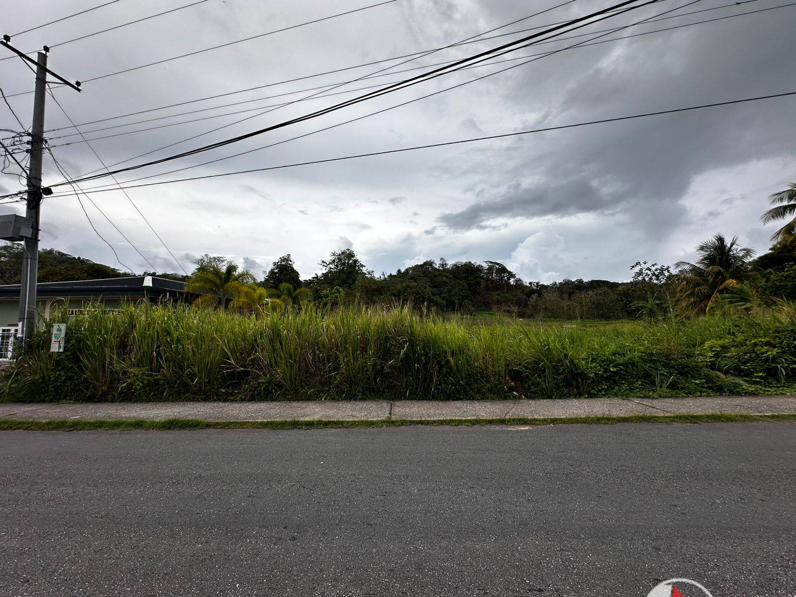 5 Acres of Land for Sale in La Lune Moruga (Freehold)