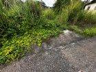 5 Acres of Land for Sale in La Lune Moruga (Freehold)