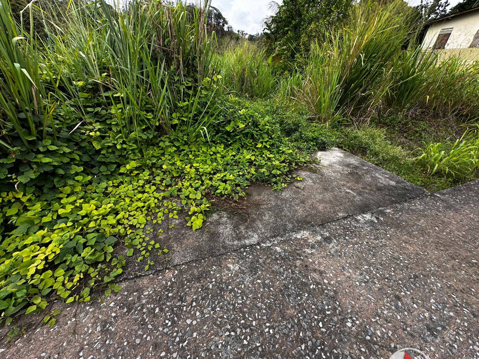 5 Acres of Land for Sale in La Lune Moruga (Freehold)