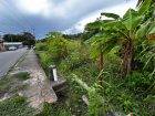 5 Acres of Land for Sale in La Lune Moruga (Freehold)