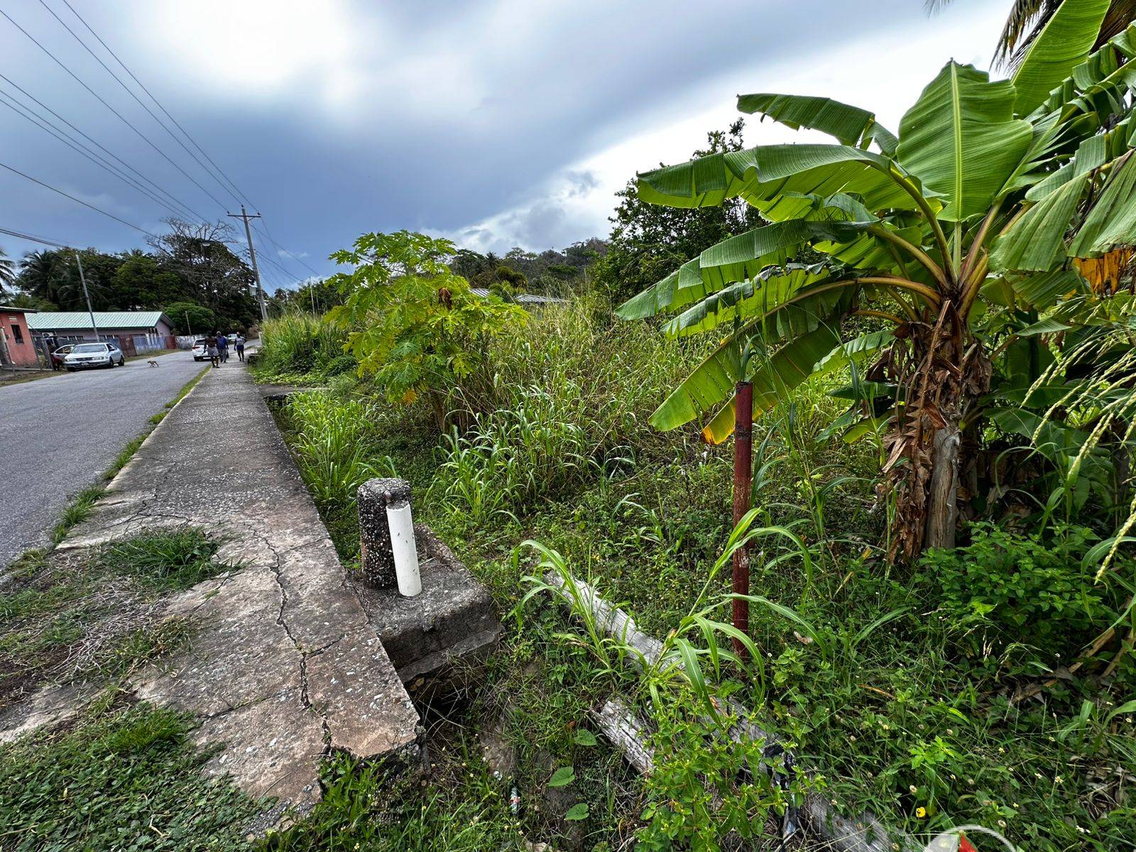5 Acres of Land for Sale in La Lune Moruga (Freehold)